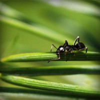 /album/idojaras/photolia-a05-jpg/