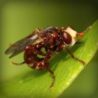 /album/idojaras/photolia-a06-jpg/
