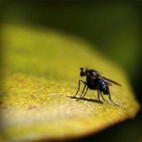 /album/idojaras/photolia-a07-jpg/