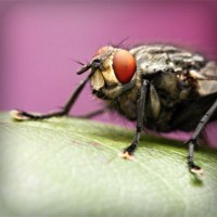 /album/idojaras/photolia-a08-jpg/
